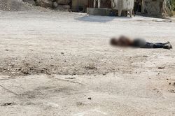 Şırnak'ta bir PKK'li öldürüldü