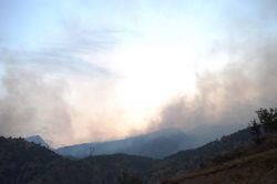Bitlis deresinde alev alan ormanlık alandaki yangın devam ediyor
