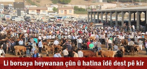 Li borsaya heywanan çûn û hatina îdê dest pê kir