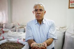 "Antepfıstığında rekolte beklenenin üstünde, ancak fiyatlar çok düşük"