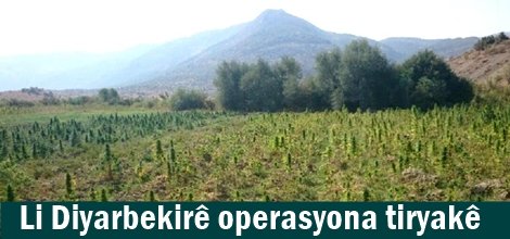 Li Diyarbekirê operasyona tiryakê