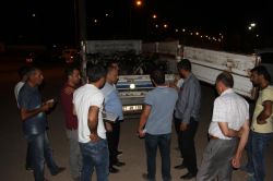 Diyarbakır’da Kıl Keçisi dağıtıldı