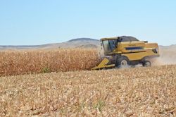 Batman’da biçerdöver kontrolleri başladı