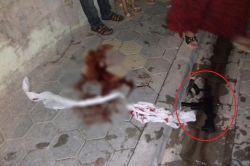 Polis engelli gencin elindeki silahı gerçek sanınca ateş açtı