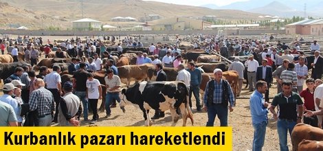 Kurbanlık pazarı hareketlendi