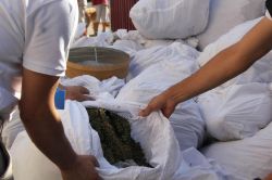 Diyarbakır’da 700 kilogram uyuşturucu ele geçirildi