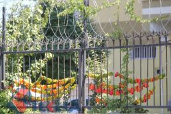 Kurutmalığa ilgi pazar esnafının yüzünü güldürüyor