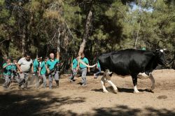 Gaziantep’te 'Kurban Yakalama Timi' oluşturuldu