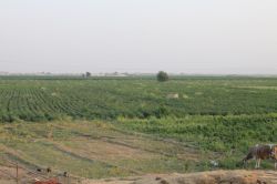 “GAP Projesi ile Suruç canlandı”