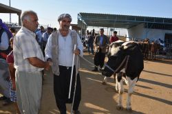 Küpe sorunu kurban satışlarını olumsuz etkiliyor