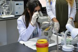 Depresyonu yenen molekül bulundu