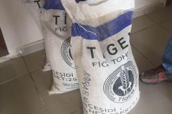 Çölyaklıların umudu karabuğday ilk mahsulü verdi