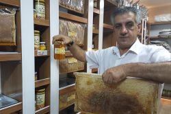 "Hava şartları meşhur Bingöl balını vurdu"