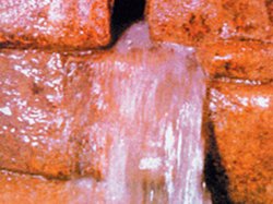 Mekke Belediyesi' Sahte Zemzem Uyarısı Yaptı