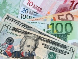 Ağustos’ta Dolar kaybettirdi Euro kazandırdı