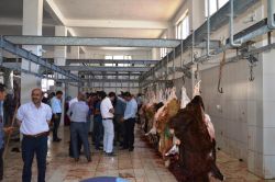 Bitlis’te kurbanlıklar tekbirler ve salavatlar eşliğinde kesildi