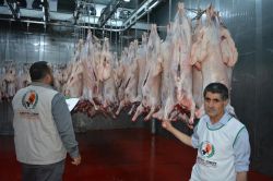 Avrupalı hayırseverlerin bağışladığı kurbanlar kesildi