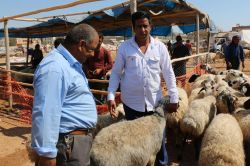 Kurban satıcıları beklediği ilgiyi göremedi