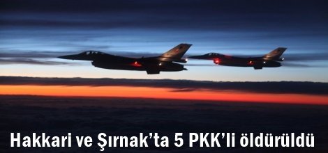 Hakkari ve Şırnak’ta 5 PKK’li öldürüldü