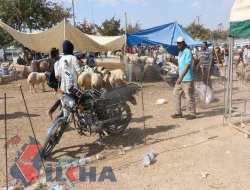 Motor hırsızları Bayramda da boş durmadı