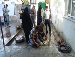 Çınar'da FETÖ mağduru aileler Yusufiler adına kurban kestirdi