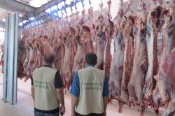 Merhamet Eli ile Kar-Der kurban eti dağıttı