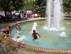 Adana'da Bakımsızlıktan Yosun Tutan Süs Havuzu Mikrop Saçıyor