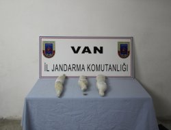 Van'da Uyuşturucu Operasyonu