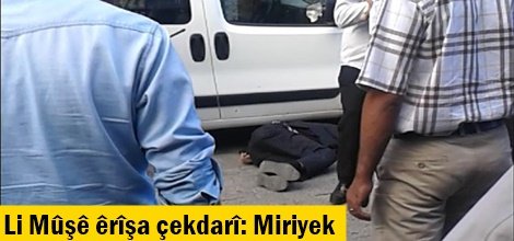 Li Mûşê êrîşa çekdarî: Miriyek