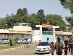 Af İçin Dilekçe Kampanyası