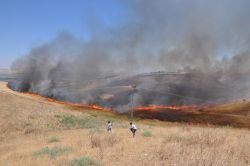"Anız yakanların prim destekleri kesilsin"
