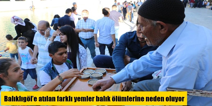 Balıklıgöl’e atılan farklı yemler balık ölümlerine neden oluyor