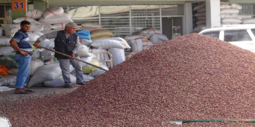 Sulama projesi bir an önce uygulamaya konulması gerekiyor
