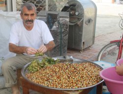 Yeni Mahsul Fındık Mersin'de