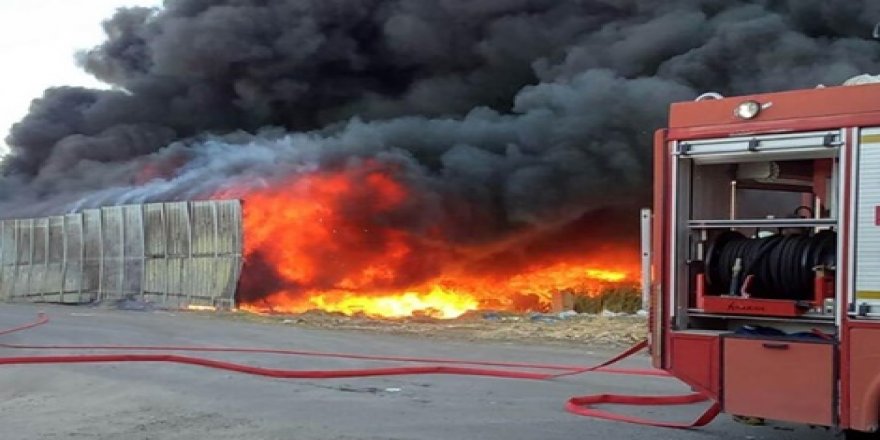 Li tesîsa veguherînê şewat