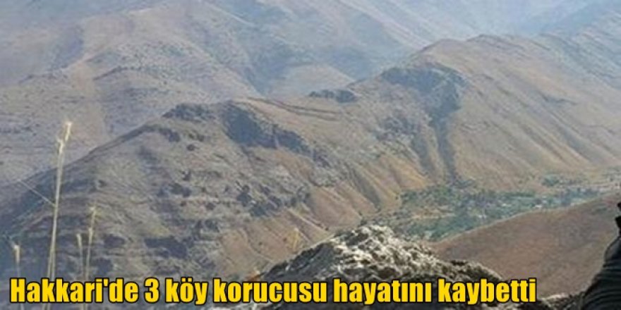 Yüksekova'da 3 köy korucusu hayatını kaybetti