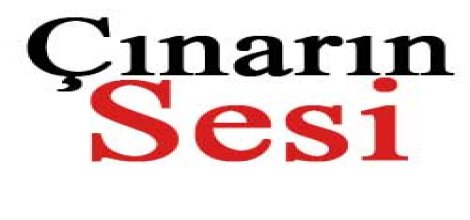 Çınar’da damdan düşen yaşlı kadın hayatını kaybetti. foto