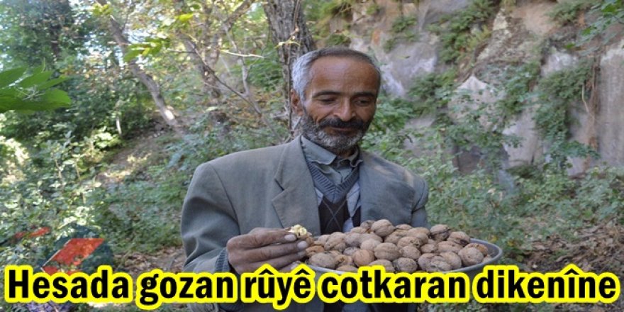Hesada gozan rûyê cotkaran dikenîne