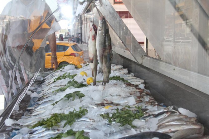 Balık satışları esnafı sevindirdi