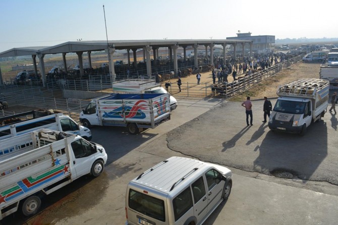 Batman hayvan pazarında yol sorunu köylüleri çileden çıkardı