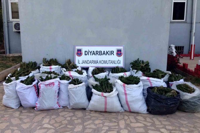 Kocaköy’de 306 kilo esrar ele geçirildi