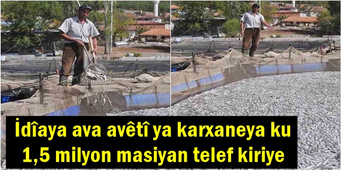 İdîaya ava avêtî ya karxaneya ku 1,5 milyon masiyan telef kiriye