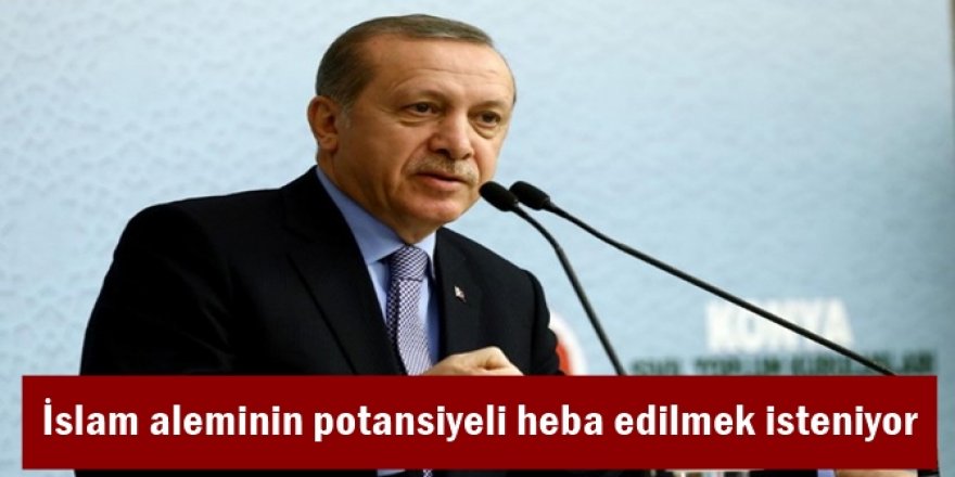 İslam aleminin potansiyeli heba edilmek isteniyor