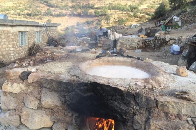 Batman Gercüş'te köylüler üzüm pekmezi yapmaya başladı