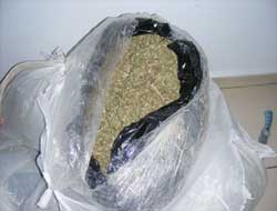 10 Kilo Esrar Yakalandı