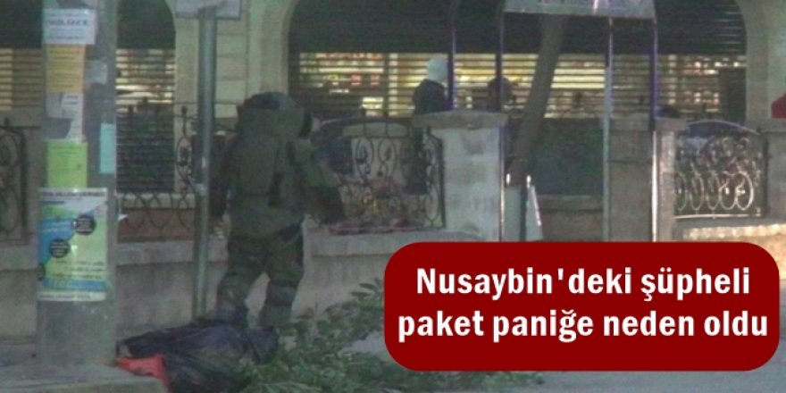Nusaybin'deki şüpheli paket paniğe neden oldu