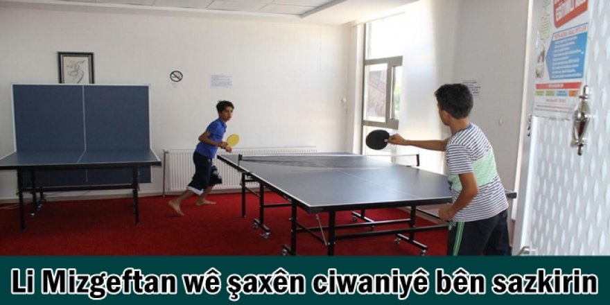 Li Mizgeftan wê şaxên ciwaniyê bên sazkirin