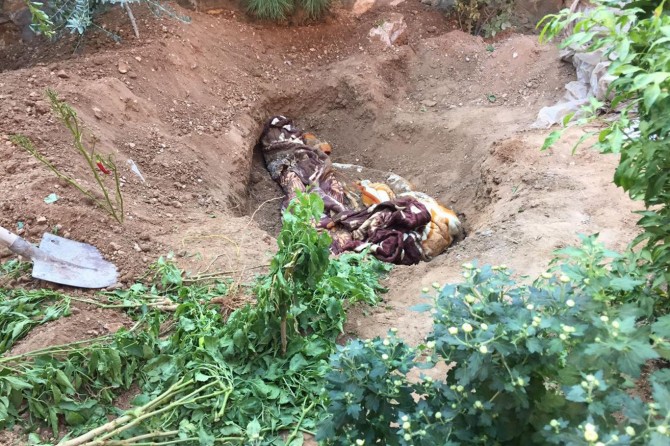 Derik'te eski askerlik şubesinde 2 ceset bulundu