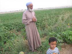 Hem Tarlada Çalışıyorlar Hem Oruç Tutuyorlar