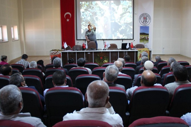 Antep fıstığı üreticilerine budama eğitimi verildi